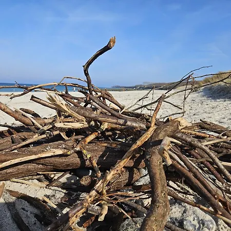 Daddeldu Whg. V-d1 アパート